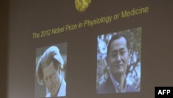 Фото Джона Ґордона і Сін’я Яманака під час оголошення їх лауреатами Нобелівської премії з медицини