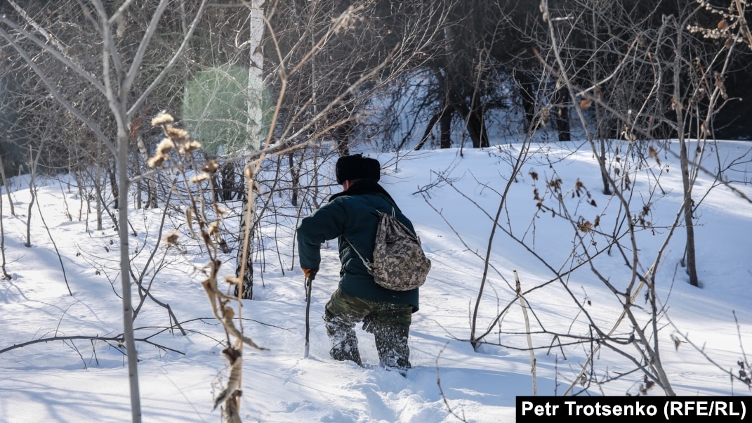 Сексуалдық эротикалық киска