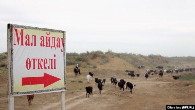 Указатель местности для перегона скота рядом с автомобильной трассой в Туркестанской области. Иллюстративное фото.