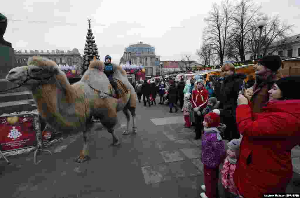 Ребенок верхом на верблюде на рождественской ярмарке в Санкт-Петербурге.