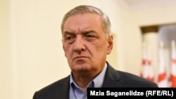 პარლამენტის თავმჯდომარის პირველი მოადგილე გია ვოლსკი