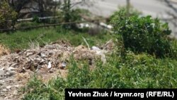 Местные жители высыпают строительный мусор прямо на склон