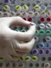 Germany -- Human genetic material, stored at a laboratory in Munich, 23May2011