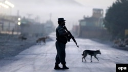 An Afghan police officer secures the road leading to the guesthouse.