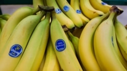 Diňle: Azyk meselesiniň ýalan çözgüdi ilatyň 'saby käsesini doldurýar'