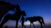 An Indian man is silhouetted against the setting sun as he walks his horse, waiting for customers for a beach ride along the Arabian Sea coast in Mumbai, India. (epa-EFE/Divyakant Solanki)