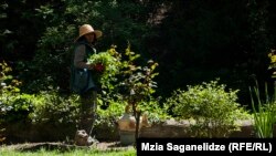 თბილისის ბოტანიკური ბაღი