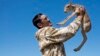 Kazakhs Outraged Over Killing Of Wildlife Ranger Who Pursued Saiga Poachers