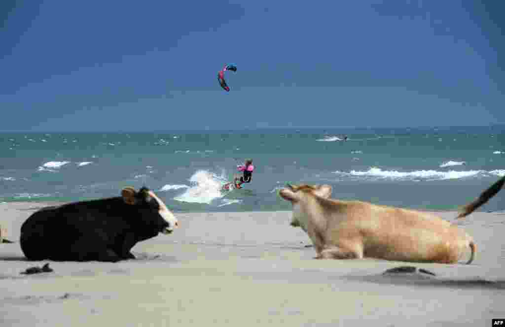 A kite surfer sails on the Adriatic Sea near the town of Ulcinj, Montenegro. (AFP/Armend Nimani)