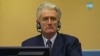 Final Arguments Begin In Karadzic Trial