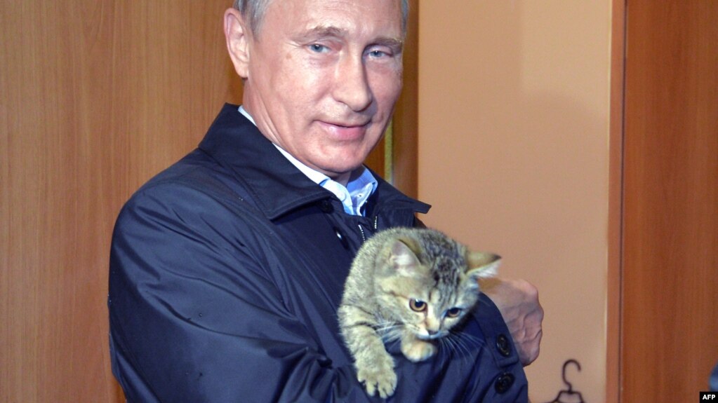 Russian President Vladimir Putin and a feline friend