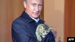 Russian President Vladimir Putin and a feline friend