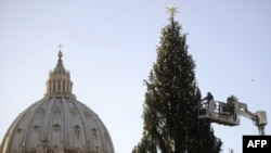 Рождественская елка в Ватикане