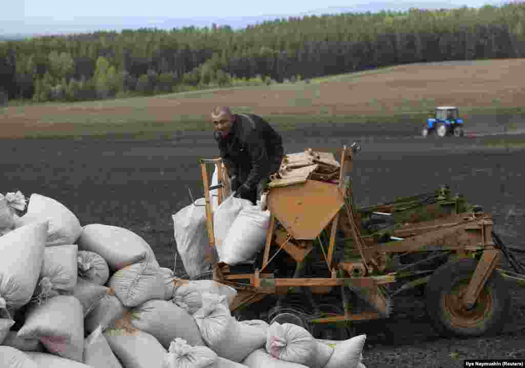 An inmate loads barley into a seeder before sowing.