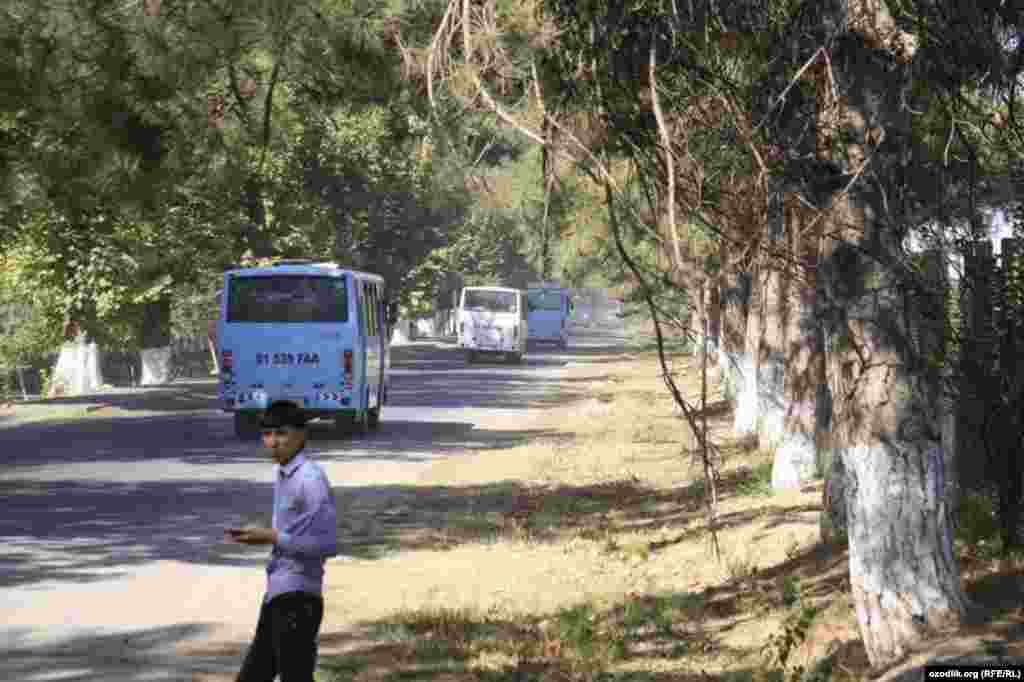 Tələbələri pambığa aparan avtobuslar.