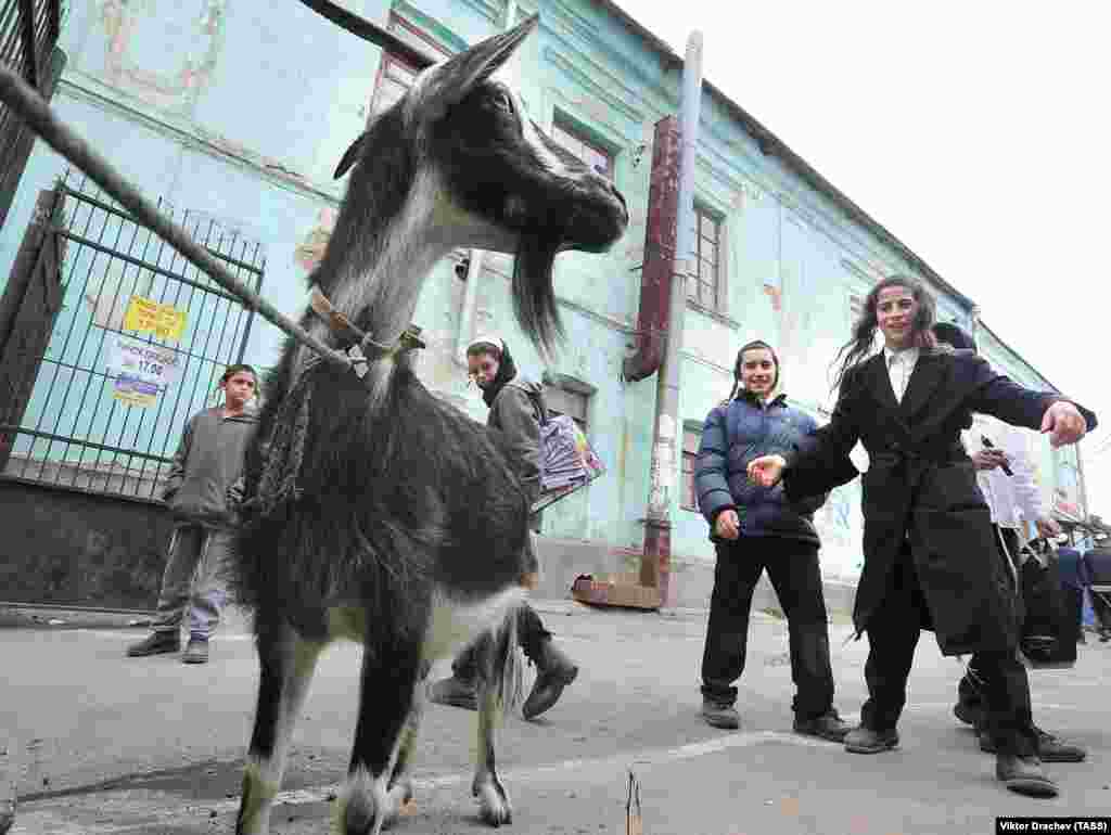 Hasidic Jews celebrate the traditional Jewish New Year or Rosh-Hashanah in Uman, Ukraine, on October 2. (TASS/Viktor Drachev)