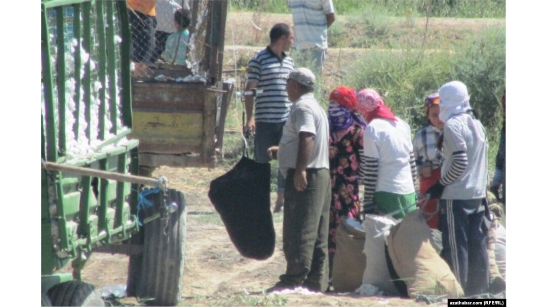 Turkmenistan mobilizes tens of thousands of state workers to pick cotton.