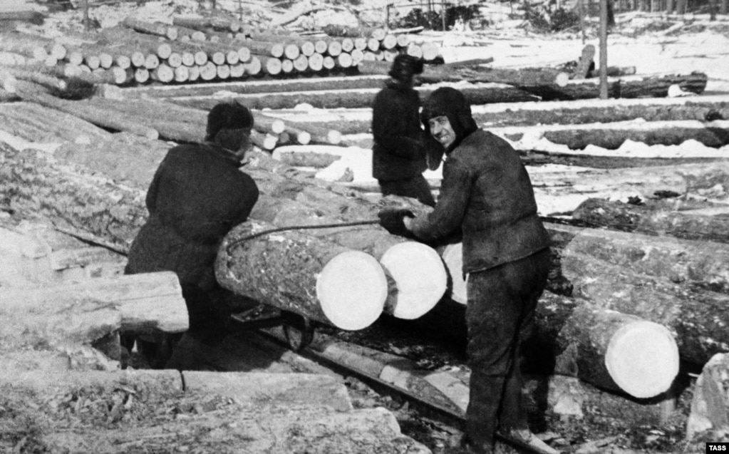 Осужденные на заготовке древесины в Озерлаге. 