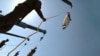 Iranian criminals hang limply from the nooses during public execution. File photo