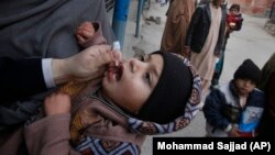 Вакцинација против детска парализа на дете во Пакистан 