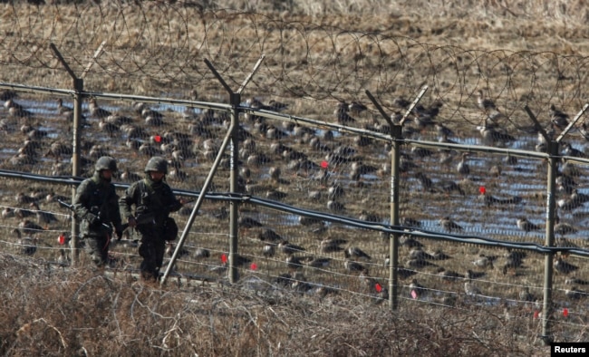Південнокорейські солдати біля загородження, що позначає кордон демілітаризованої зони між КНДР та Південною Кореєю