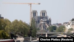 Вигляд на собор Нотр-Дам-де-Парі. Париж, Франція