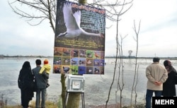 بنرهای تبلیغاتی برای شناساندن پرندگان مهاجر آبزی