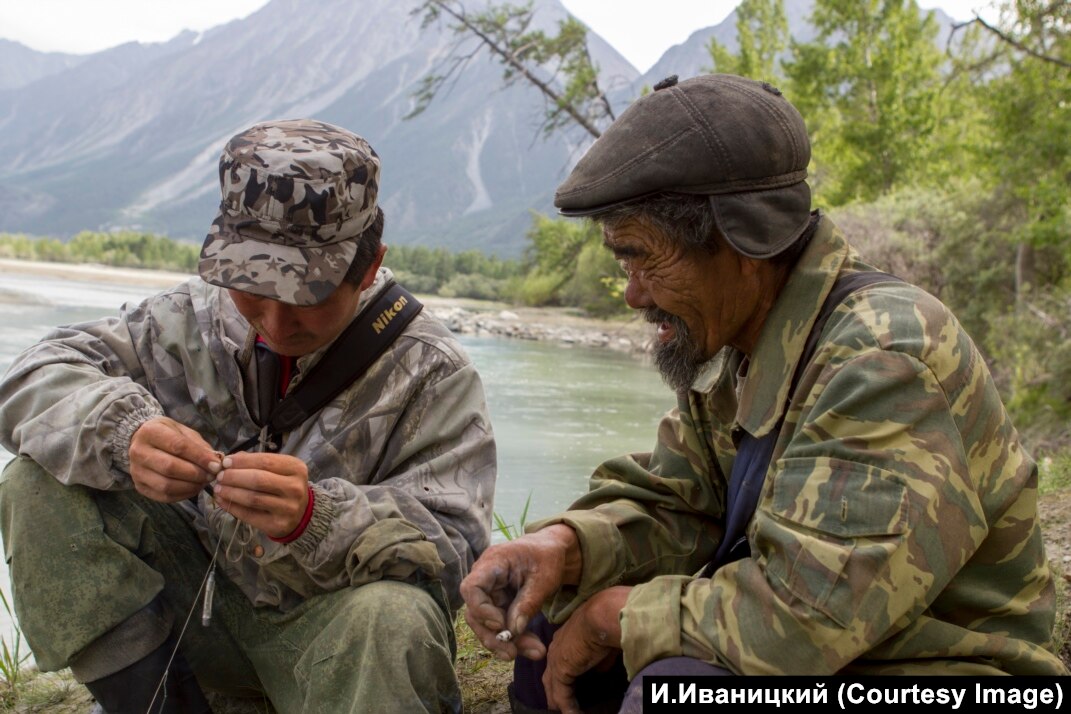 Үлкен қатты әдемі әтеш