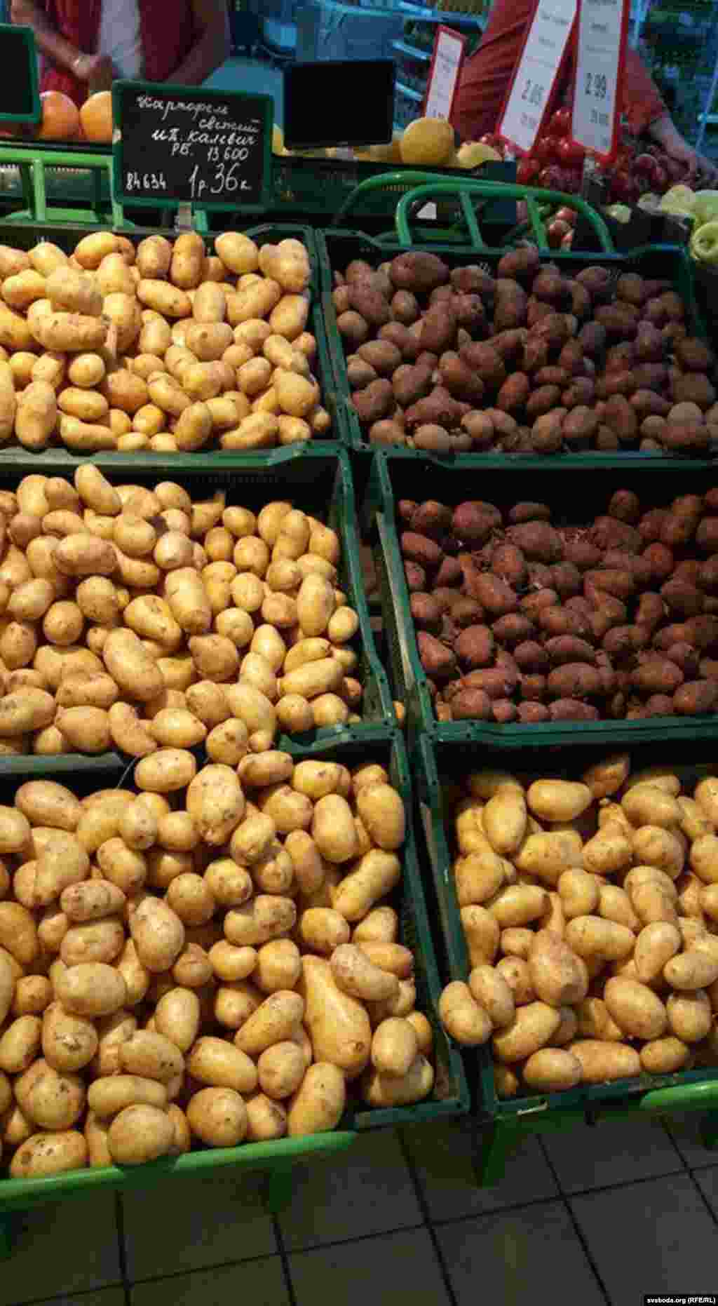 Belarus --potato, general