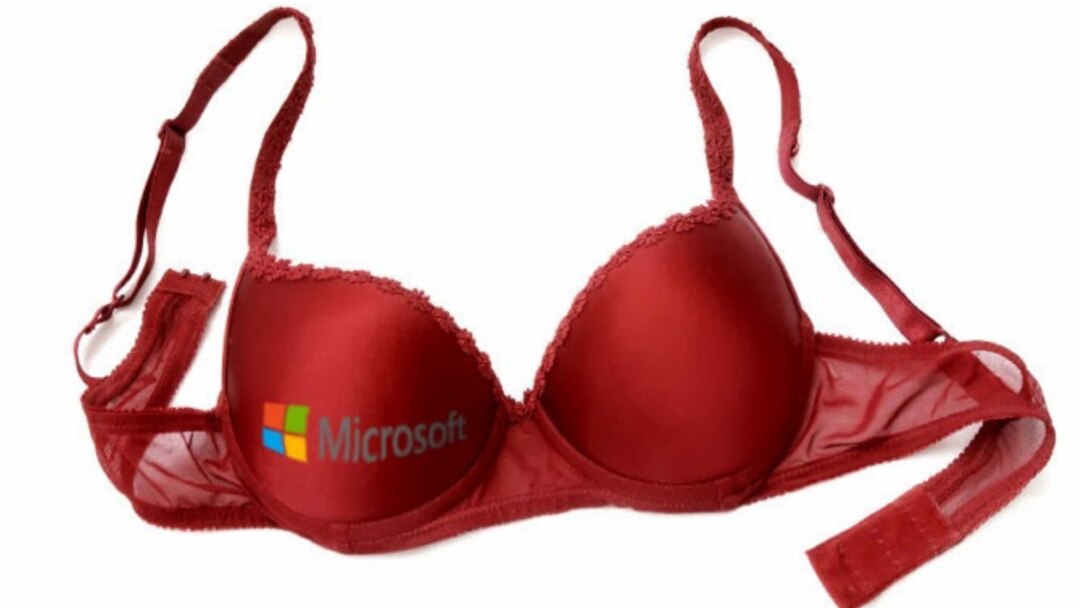 Microsoft 'Smart Bra' Aims To Curb Overeating 