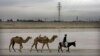 A transmission line across the Amu Darya river bringing power from Uzbekistan into Afghanistan, which is dependent on its neighbors for much of its electricity. (file photo) 