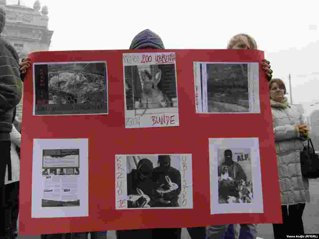 Aktivisti udruženja "Sloboda za životinje" organizirali su protest pod nazivom ¨Srbija bez krzna¨, 18.11.2011.