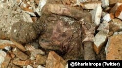 A photo circulated on social media showing a mummified body found at the tomb of Reza Shah Pahlavi.