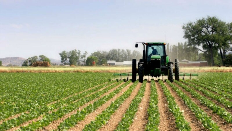 Осум нови мерки за помош на аграрниот сектор