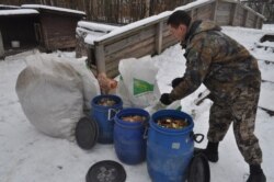 Анастасия Бауэр запустила в Петрозаводске "Компостмобиль"