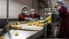 Punëtoret në një fabrikë për përpunimin e patates në Kosovë. Fotografi ilustruese. 