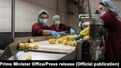 Punëtoret në një fabrikë për përpunimin e patates në Kosovë. Fotografi ilustruese. 