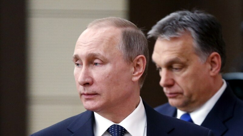 Putin To Travel To Hungary For Judo Competition, Talks With Orban