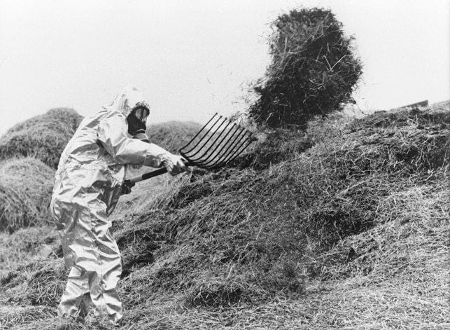 A Swedish farmer wearing anti-atomic clothes shifts fodder contemned by the radioactive cloud of Chernobyl in June 1986, a few days after the No. 4 reactor's blast, the world's worst nuclear accident of the 20th century. / AFP PHOTO