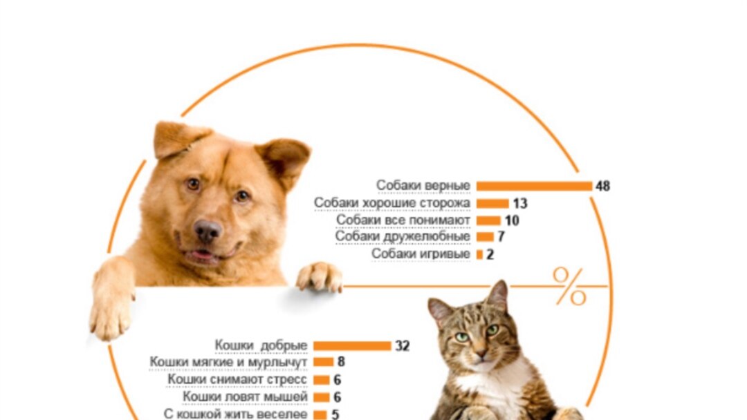 Считается ли собака нечистым животным и можно ли кошкам и собакам жить в доме?