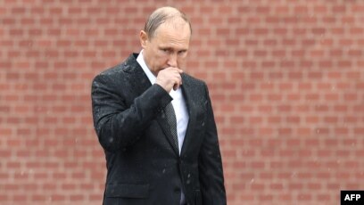 Путин Картинки Фото Путин Картинки Фото