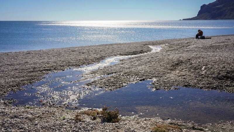 В Росприроднадзоре подсчитывают ущерб от загрязнения Черного моря у берегов Коктебеля