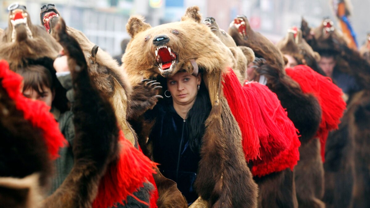 Dancing Bear Parties