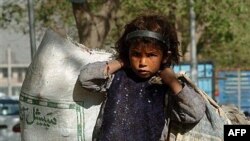 A girl carrying garbage for recycling or for use as fuel in Kabul.