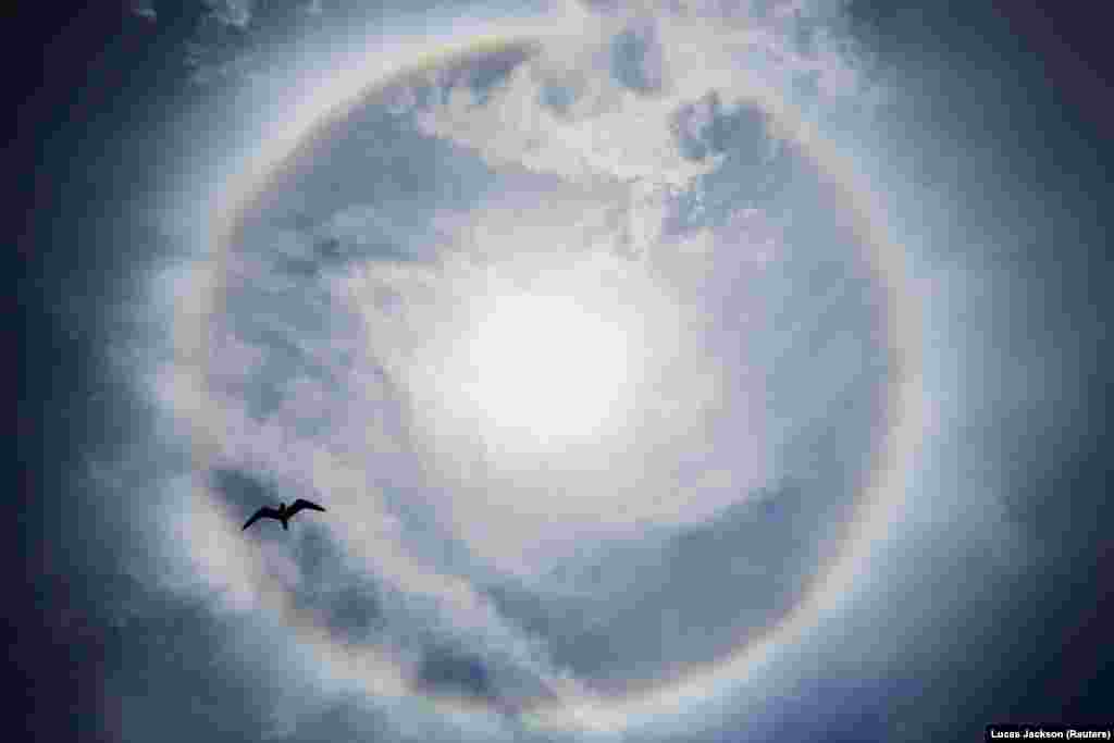 A bird flies underneath an atmospheric phenomenon known as a "sun dog" in the sky over Seaside Heights, New Jersey. (Reuters/Lucas Jackson)
