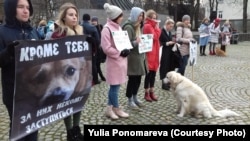 Калининград, акция в защиту бездомных животных. 18 ноября 2018