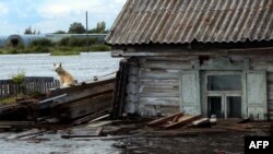 Наводнение в Амурской области