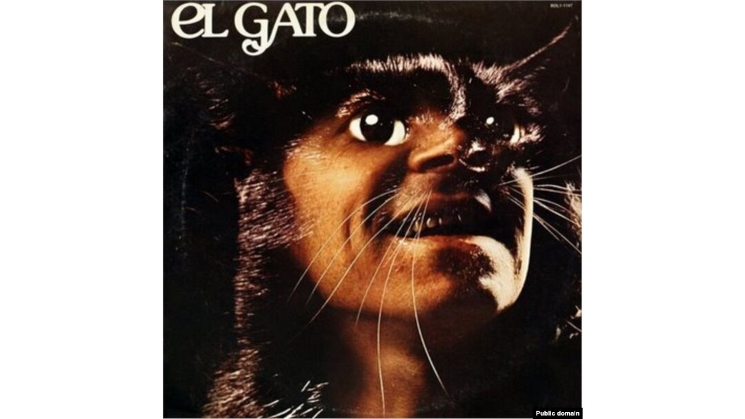     -   quot quot EL GATO  quot -  95 quot        -   quot quot    -  