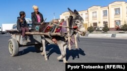 Повозка запряженная ишаком. Самарканд, Узбекистан, 29 ноября 2019 года.