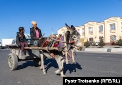 Повозка запряженная ишаком. Самарканд, Узбекистан, 29 ноября 2019 года.